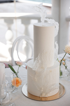 Нежный белоснежный 01