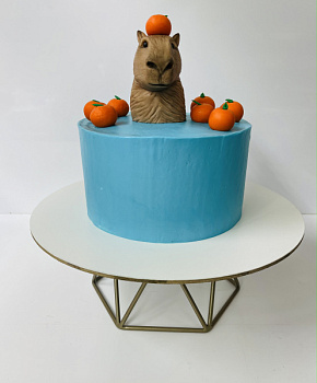 Торт "Капибара" 01