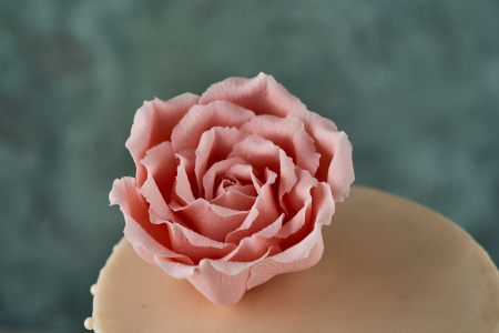 Жемчужная роза 04