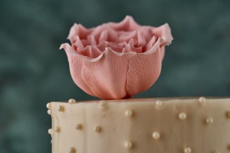 Жемчужная роза 02