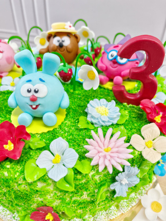 Смешарики 02