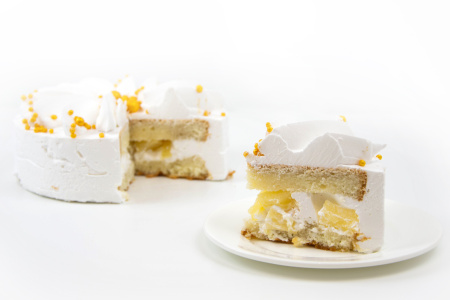 Йогуртовый  04